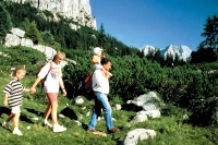 Die 24-Stunden-Wanderung „kitzalp24“ (12./13.06.10) geht in ihre nächste Runde! Die 24-Stunden-Wanderung „kitzalp24“ (12./13.06.10) geht in ihre nächste Runde!