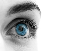 Das Auge Das Auge