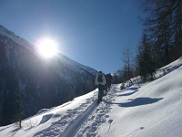 Schneeschuhwanderung (c) Peter Leitner (Alpengasthof Zollwirt)