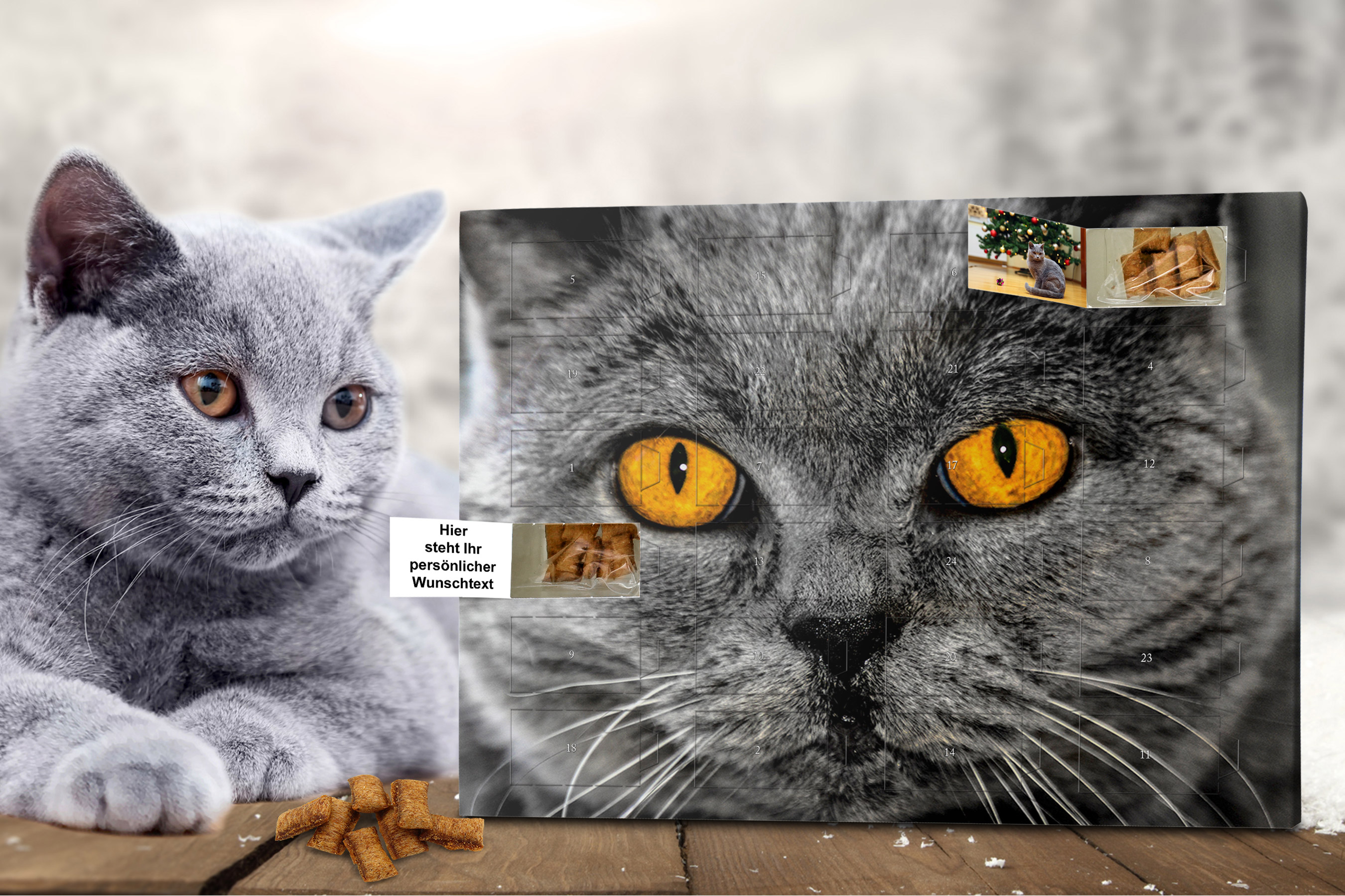 Personalisierte Katzenadventskalender selbst gestalten