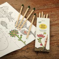Kids Color Kit von Sprout - 8 Malstifte, die zu einer Pflanze werden, mit Malbuch Kids Color Kit von Sprout - 8 Malstifte, die zu einer Pflanze werden, mit Malbuch
