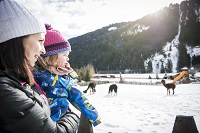 Hotelpark im Winter (c) Alex Filz (Alphotel Tyrol)