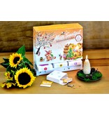 Ein Adventskalender mit Samen der Lieblingsblumen von Bienen und Hummeln