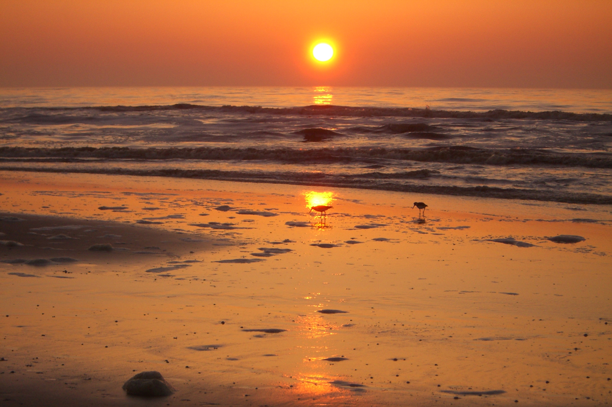 Idyllischer Sonnenuntergang auf Texel (Bildquelle: @VVVTexel) Idyllischer Sonnenuntergang auf Texel (Bildquelle: @VVVTexel)