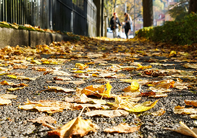 Nasses Herbstlaub kann Bürgersteige schnell in rutschige Flächen verwandeln. Foto: HUK-COBURG