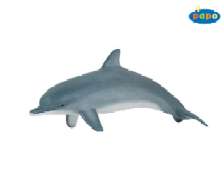 Delphin