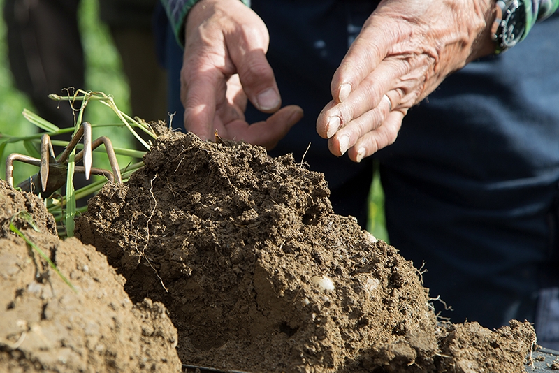 Der"Bodenkurs im Grünen" vermittelt praxisnah die Grundlagen der Regenerativen Landwirtsch
