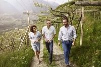 Spaziergang durch die Weinberge mit Weinverkostung am Weinberg (Der Weinmesser)