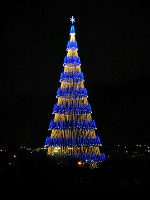 Mirassol Tree (c)Embratur