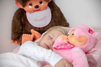 Monchhichi - Kultobjekt und Kuscheltier