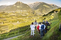 Weinverkostung in der Gruppe vor malerischem Bergpanorama (c) MuehlbacherRupert GAS (Der Weinmesser)