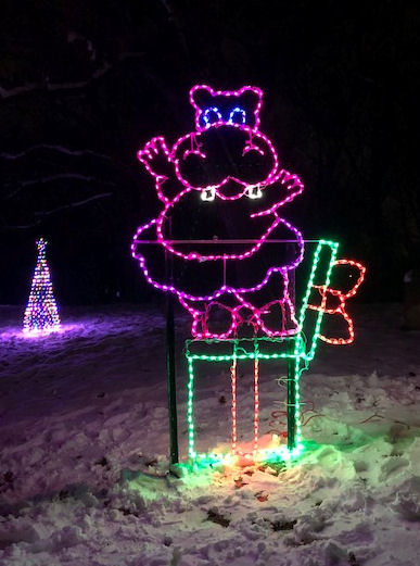 Lichtinstallation beim Festival of Lights in Rockford / Illinois (Bildquelle: Holiday Festival of Li