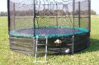 Trampolinspringen macht Spaß und ist gesund. 
