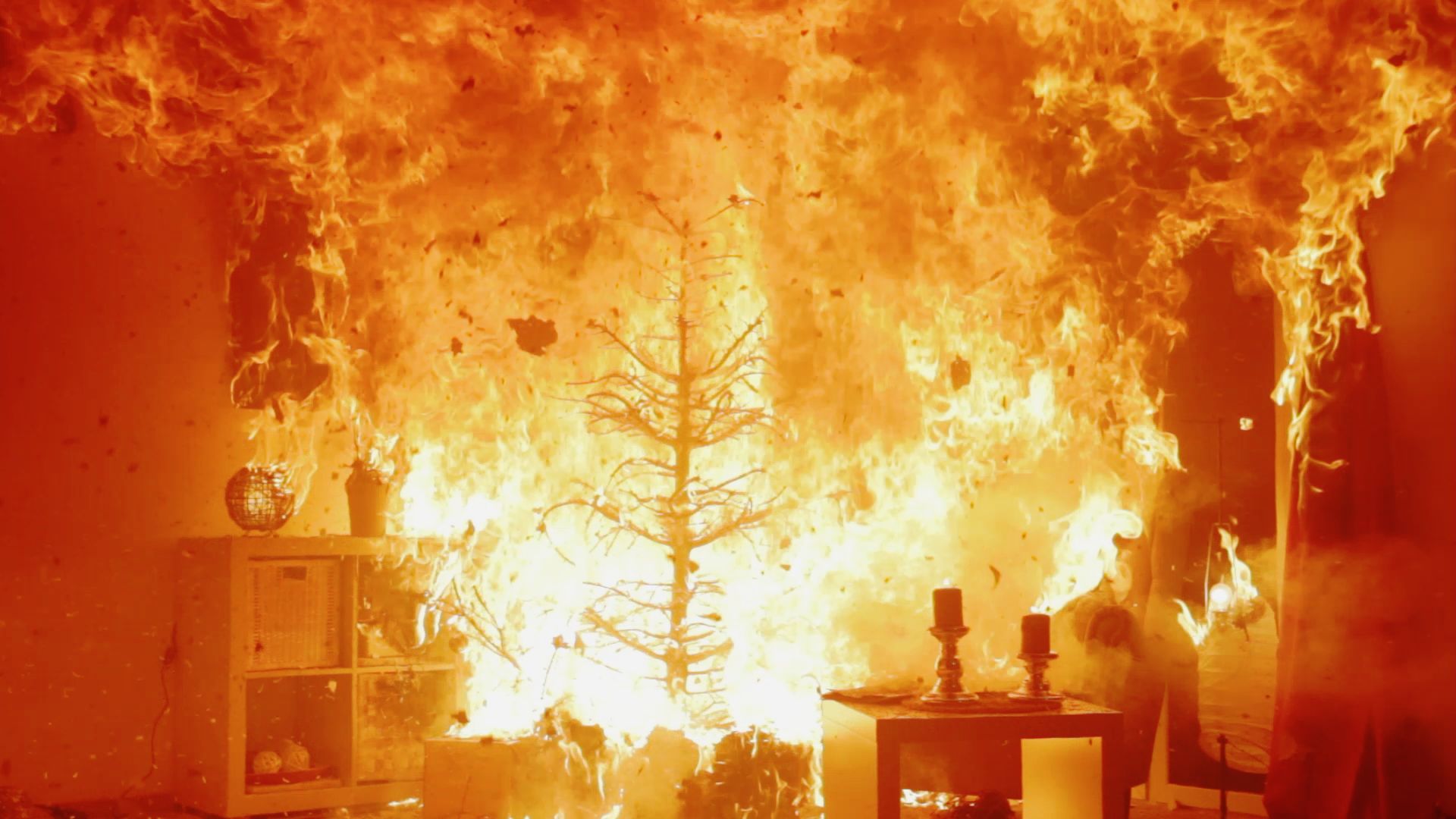 Wenn ein trockener Tannenbaum in Brand gerät, breiten sich die Flammen erschreckend schnell aus. (Bi