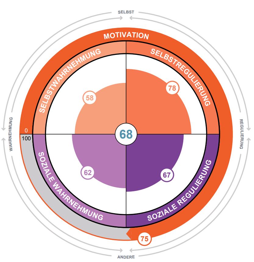 Das EQ-Rad, INSIGHTS MDI INTERNATIONAL, 2019