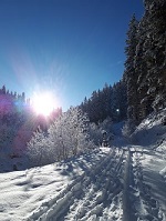 Winterwandern am Wasserweg Leisnitz (c) D. Fuchs (St. Margarethen)