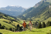 Wanderer (Raurisertal)