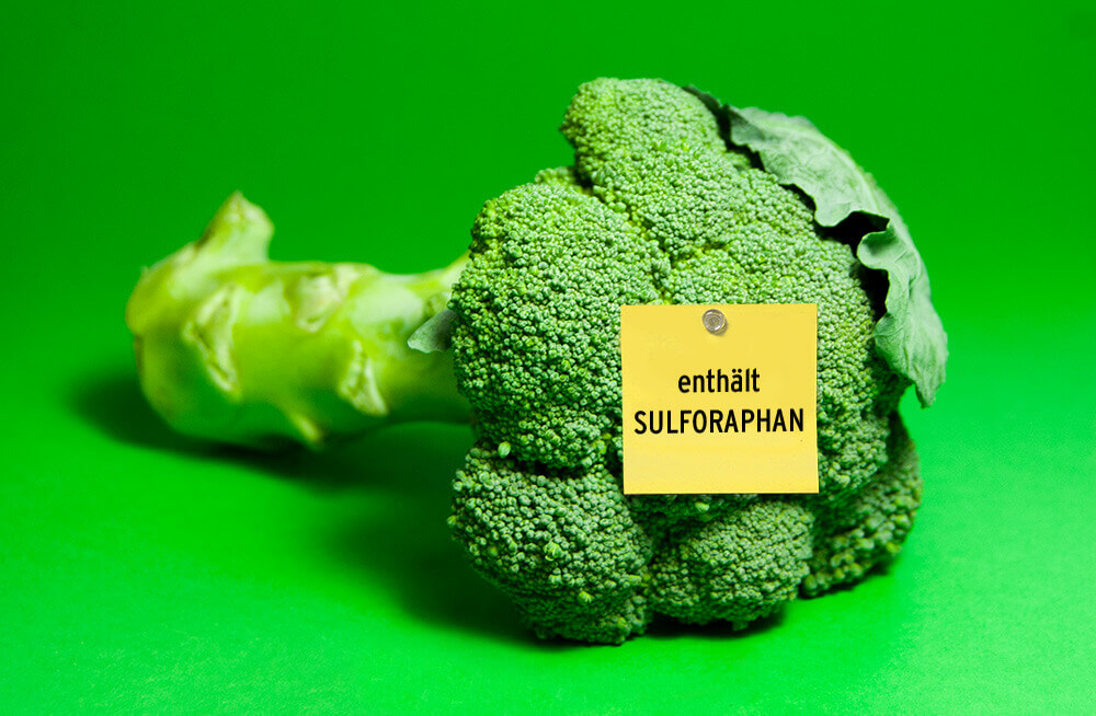 Gesunder Brokkoli enthält Sulforaphan (Bildquelle: https://www.sulforaphan.org)