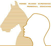 Horse Guided Experience Horse Guided Experience