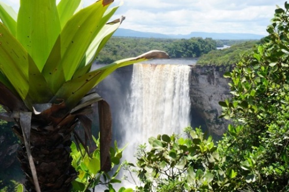  Die Kaieteur Falls sind zweifelsohne der spektakulärste Wasserfall in Guyana. Credit: Hugh Hough