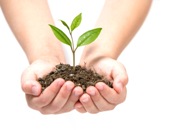 Bild: tdx/IBU/Photoroller