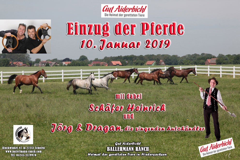 Einzug der Pferde auf die Ballermann Ranch in Niedersachsen Einzug der Pferde auf die Ballermann Ranch in Niedersachsen