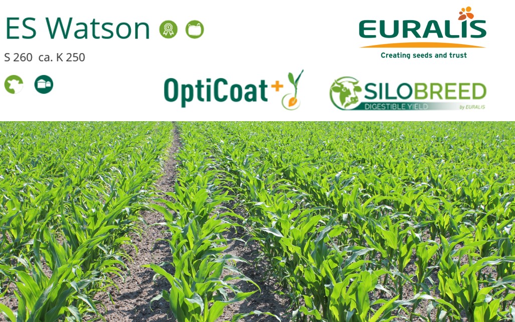 EURALIS ES Watson OptiCoat+ SILOBREED