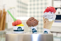 Große Vielfalt an Geschmacksrichtungen (Eis-Greissler Manufaktur)