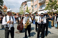 Musiker (Héviz)
