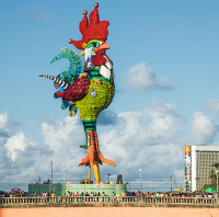 Rooster of the Dawn (c)Embratur Rooster of the Dawn (c)Embratur