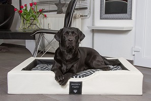 DoggyBed GEL-Hundebett DoggyBed GEL-Hundebett