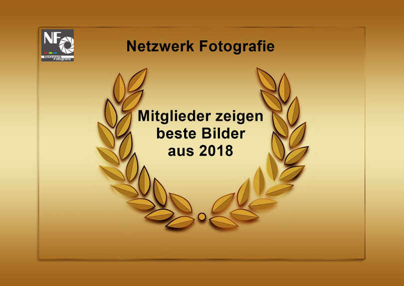 5 beste Bilder