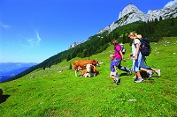 Familienwanderung Verwöhnhotel Berghof Familienwanderung Verwöhnhotel Berghof
