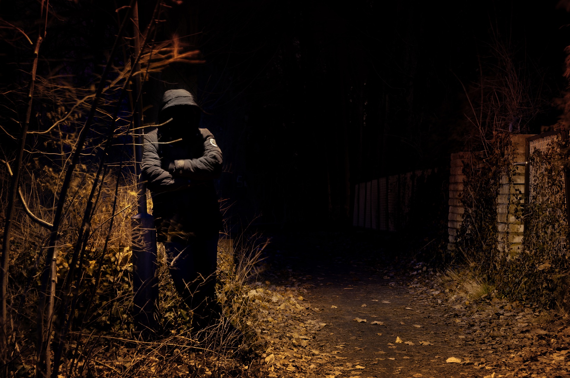 (Bildquelle: pixabay)