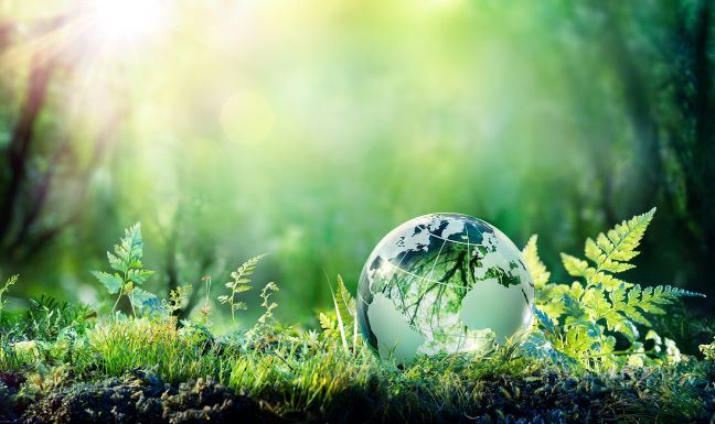 Emissionsfrei leben Emissionsfrei leben