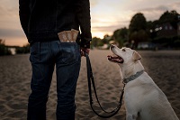 PooPick: Hundekot ohne Plastik entsorgen PooPick: Hundekot ohne Plastik entsorgen