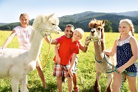 Kinder im Streichelzoo im Sommer (c) Edward Groeger art in action (Krallerhof)