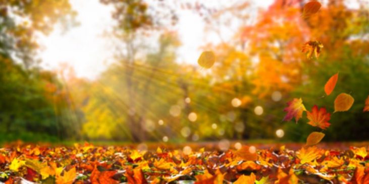 (Bildquelle:©winyu / Fotolia) (Bildquelle:©winyu / Fotolia)