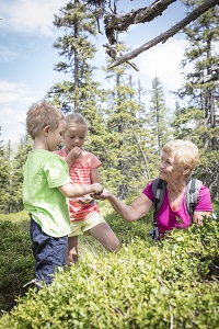 Familie beim Schwarzbeerenpflücken im Raurisertal (c) Florian Bachmeier (Tourismusverband Rauris)