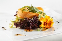 Veganes Gericht mit Salat und Karotten (Hotel Larimar)