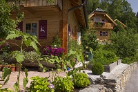 Kräutergarten im Naturdorf (c) Faistauer Nikolaus (Naturdorf Oberkühnreit) Kräutergarten im Naturdorf (c) Faistauer Nikolaus (Naturdorf Oberkühnreit)