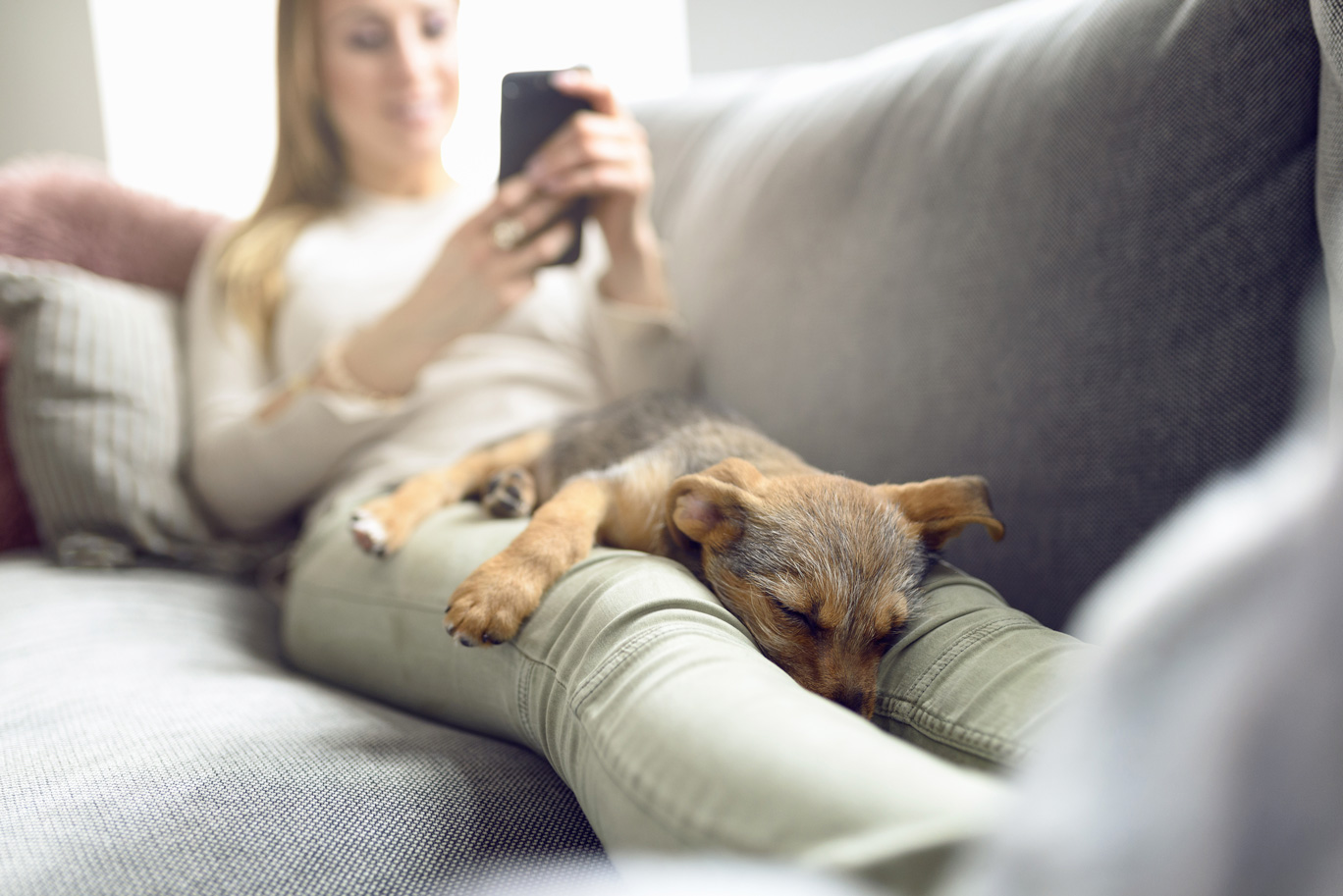 BLANKE SMART-HOME Lösungen - Komfort durch digitale Heizungsregelung. (Bildquelle: Blanke/Lars Zahne BLANKE SMART-HOME Lösungen - Komfort durch digitale Heizungsregelung. (Bildquelle: Blanke/Lars Zahne