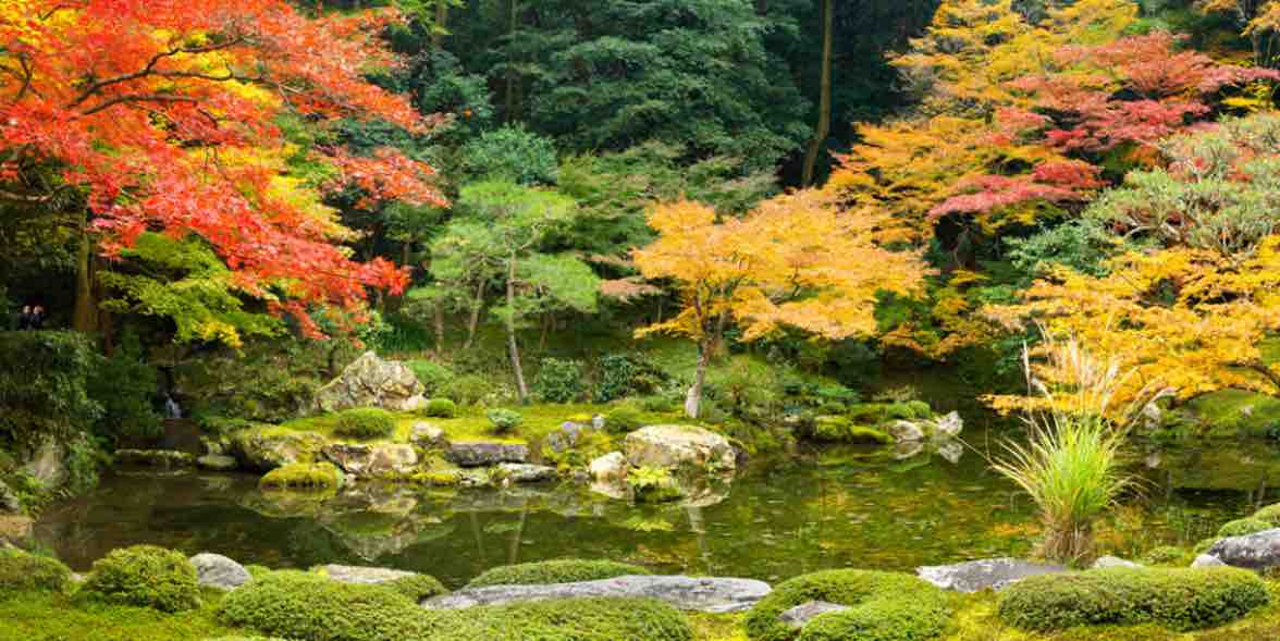 Gartengestaltung durch Experten vom Landschaftsbau. (Bildquelle:©eyetronic / Fotolia)