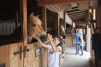 Interner Reiterhof für die ganze Familie (Sporthotel Achensee) Interner Reiterhof für die ganze Familie (Sporthotel Achensee)