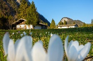 Berglandschaft im 3-Seen-Gebiet im Frühling (c) Ruhpolding Tourismus GmbH Berglandschaft im 3-Seen-Gebiet im Frühling (c) Ruhpolding Tourismus GmbH