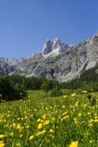 Naturpark Karwendel mit Blick auf die Lamsenspitze im Sommer (c) AchenseeTourismus (Hotel Post am S Naturpark Karwendel mit Blick auf die Lamsenspitze im Sommer (c) AchenseeTourismus (Hotel Post am S