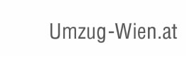 Umzug Wien günstiger mit Umzugsfirma Umzug Wien günstiger mit Umzugsfirma
