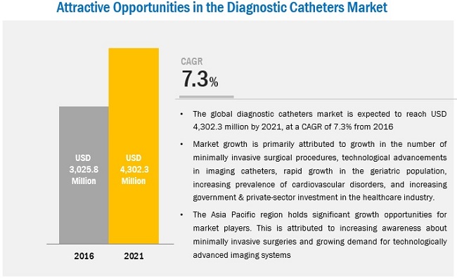 Diagnostic Catheter Market