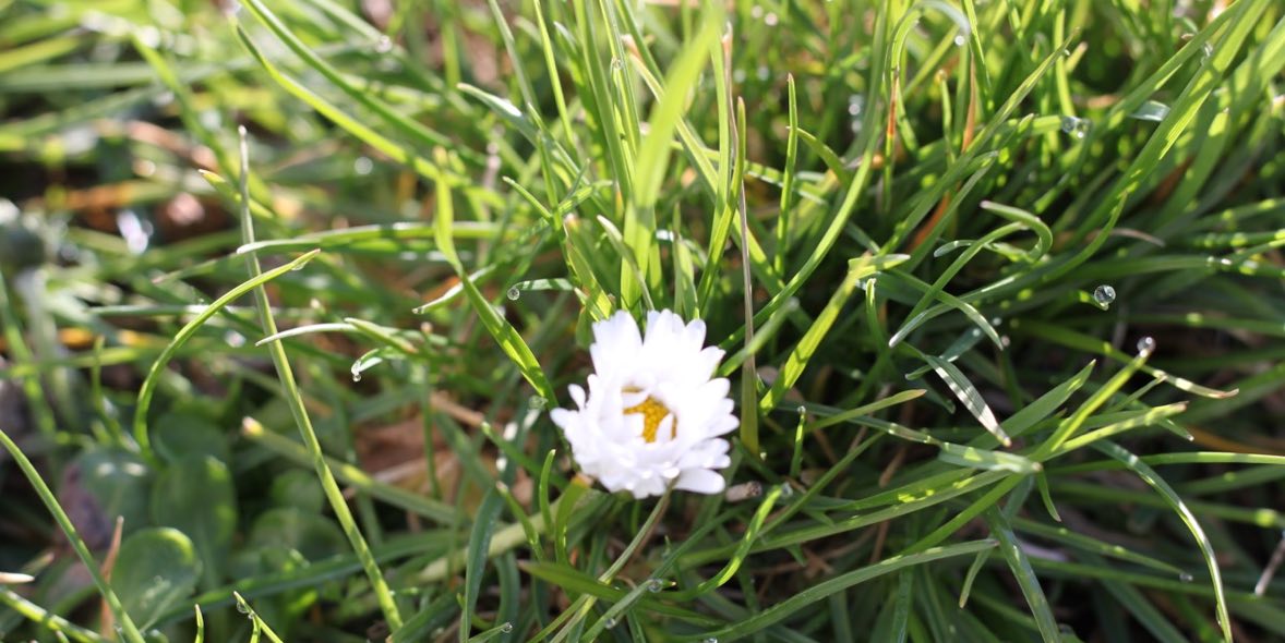 Gartenbaubetriebe im Raum Stuttgart im Einsatz. Gartenbaubetriebe im Raum Stuttgart im Einsatz.