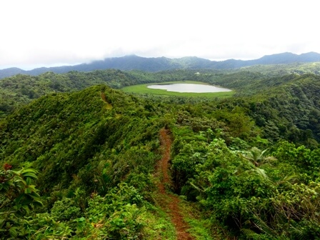 Die Karibik-Insel Grenada bietet neben Stränden auch reichlich Regenwald. Foto: Kyle Wicomb Die Karibik-Insel Grenada bietet neben Stränden auch reichlich Regenwald. Foto: Kyle Wicomb